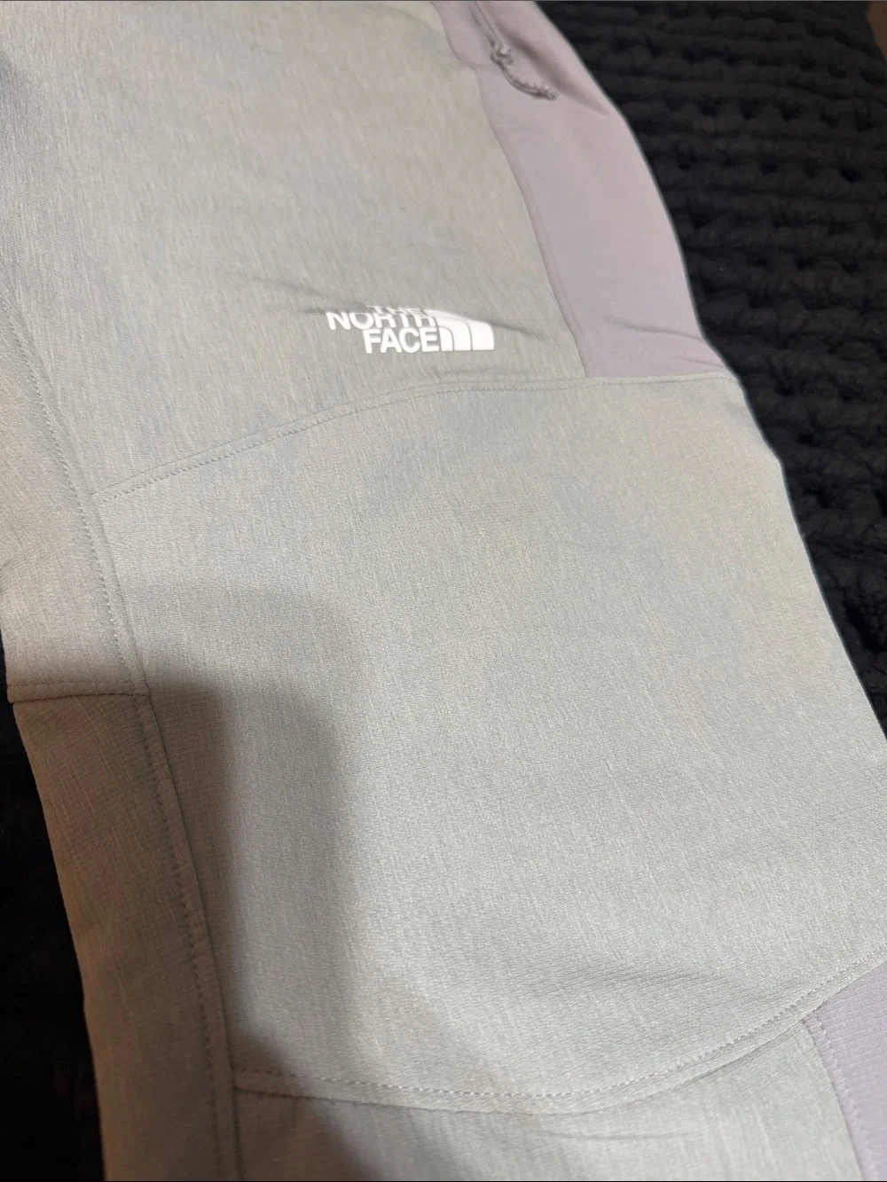 The North Face Light Gray men’s pants